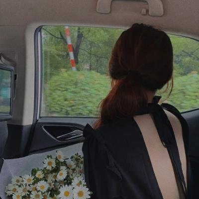 系统又骗我告白